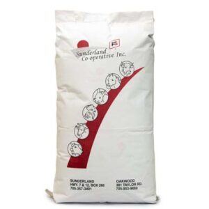 Paper Poly Woven Bags