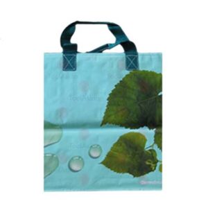 Printed Pp Shopping Bag